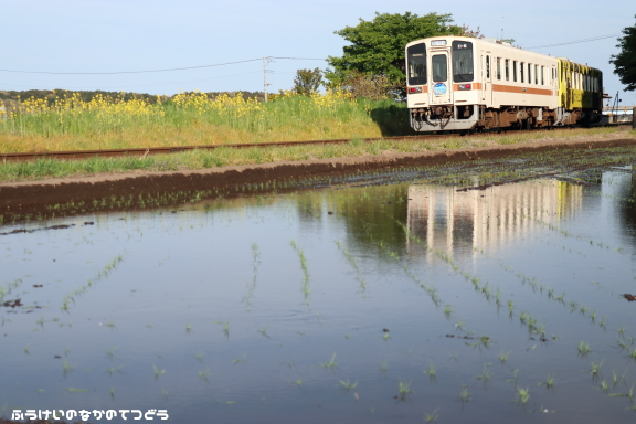 鉄道写真 ひたちなか海浜鉄道 金上－中野