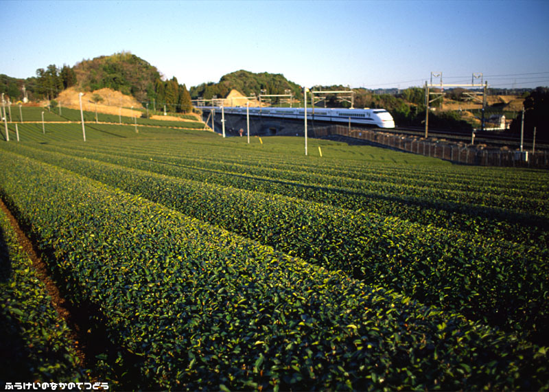 鉄道写真 東海道新幹線 静岡－掛川
