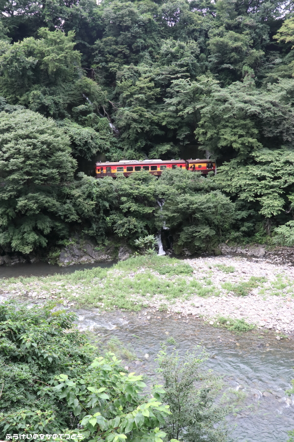 鉄道写真 わたらせ渓谷鐵道 小中－神戸