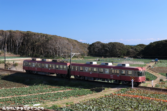 鉄道写真 銚子電気鉄道 君ヶ浜－海鹿島